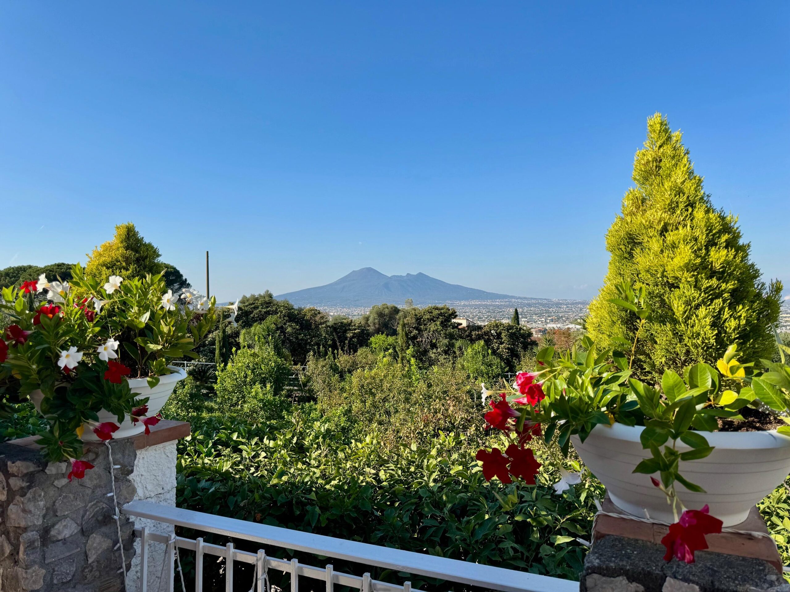 panorama vesuvio